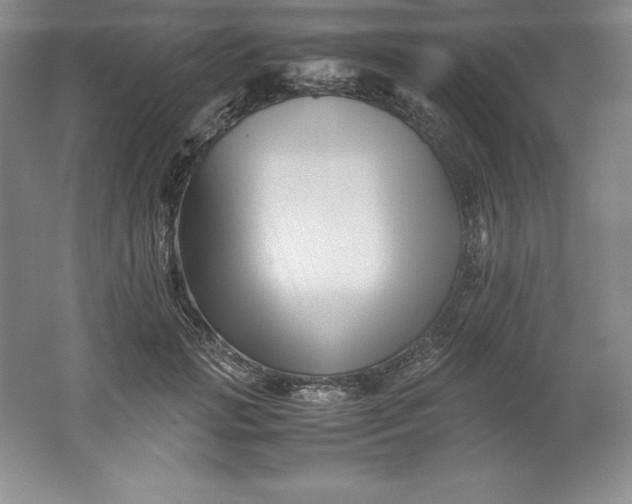 X0000062170749200512231626