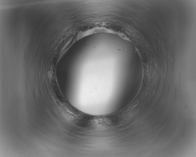 X0000062170752200512231626