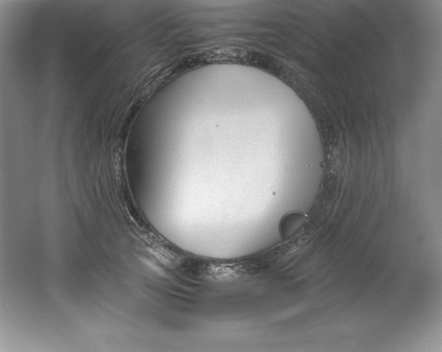 X0000062170753200512231626