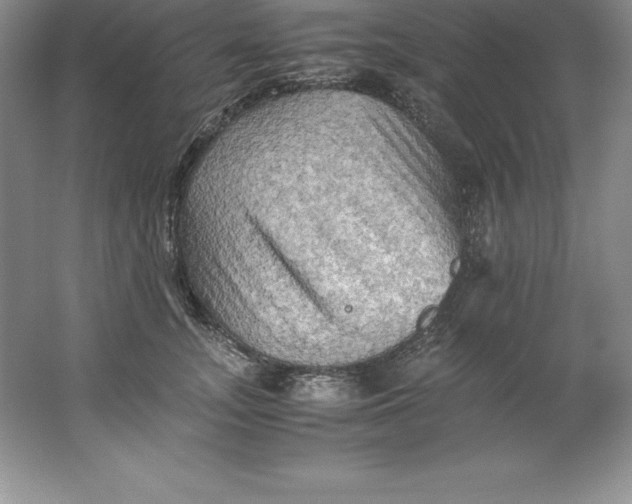 X0000062170755200512231626