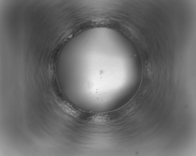 X0000062170756200512231626