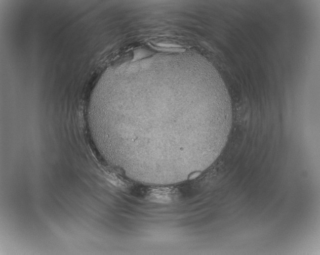 X0000062170757200512231626