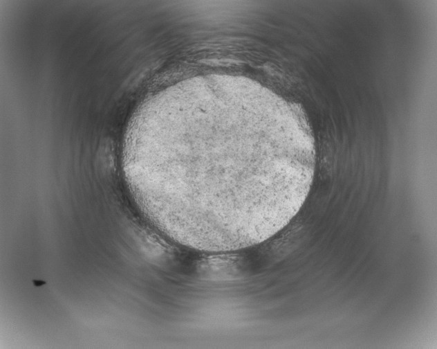 X0000062170758200512231626