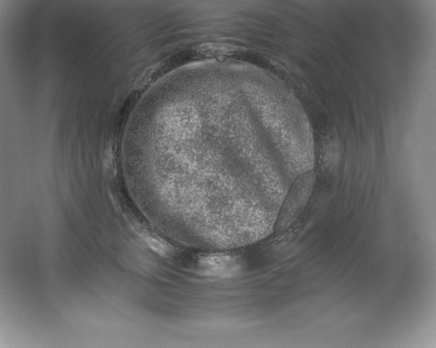 X0000062170759200512231626