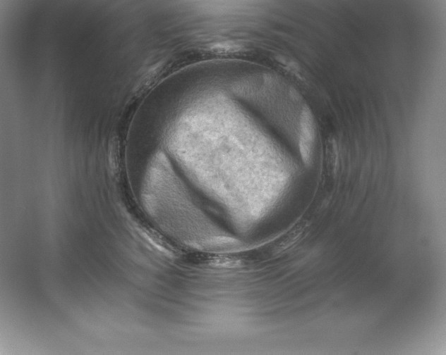 X0000062170760200512231626