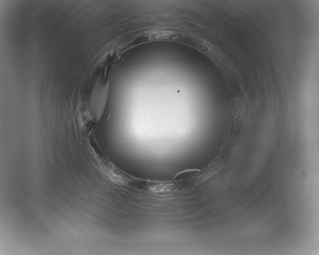 X0000062170761200512231626