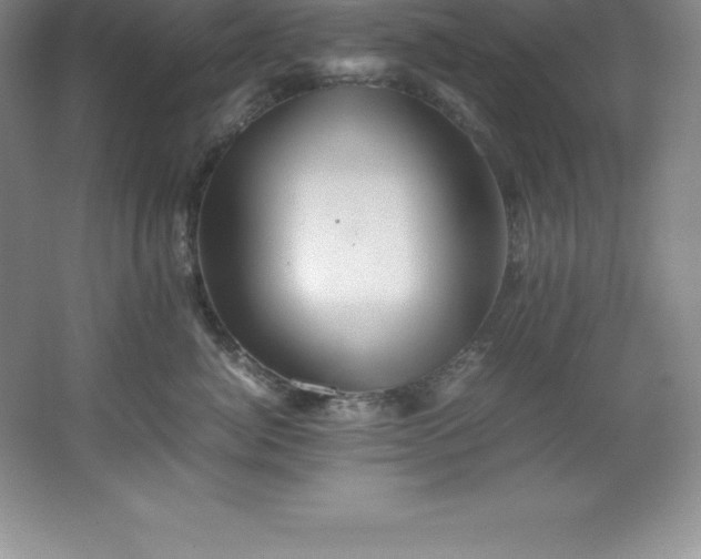 X0000062170764200512231626