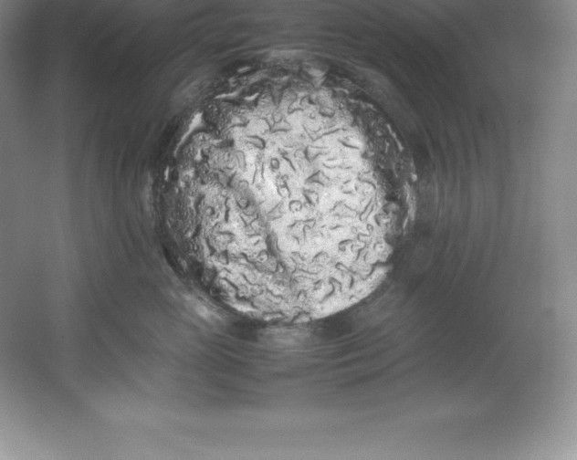 X0000062170765200512231626