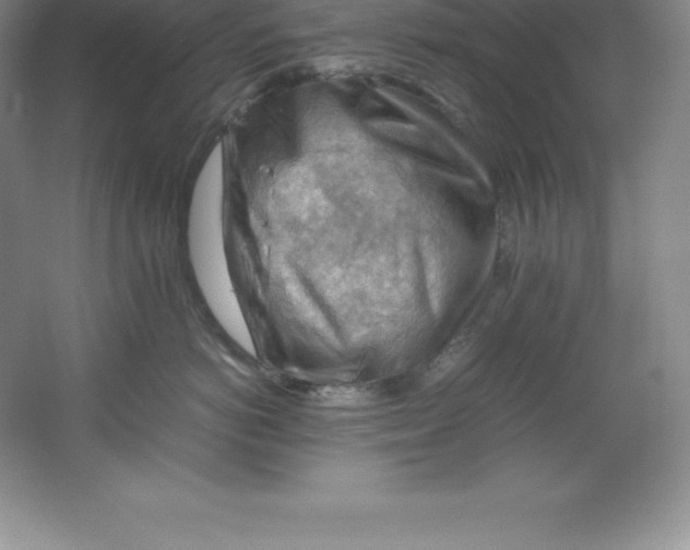 X0000062170766200512231626