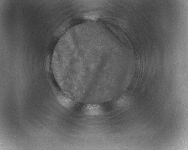 X0000062170767200512231626