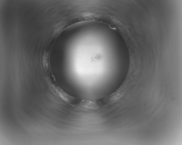 X0000062170768200512231626