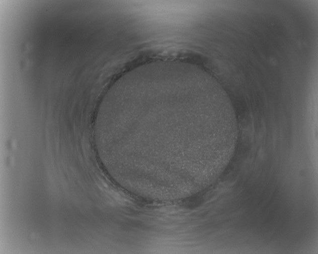 X0000062170769200512231625