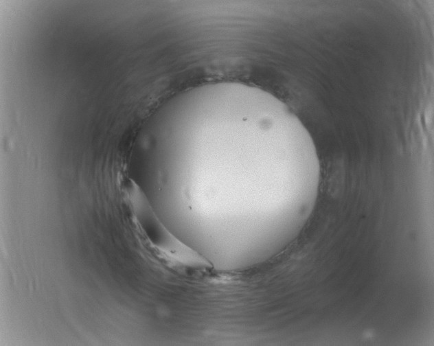 X0000062170770200512231625