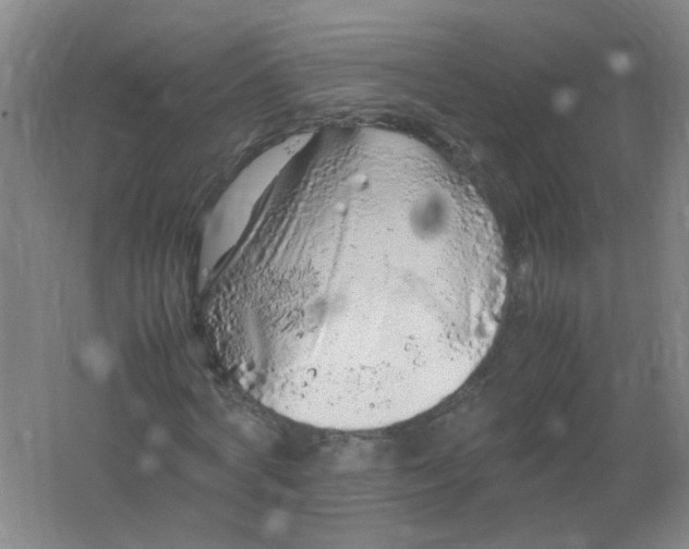 X0000062170772200512231625