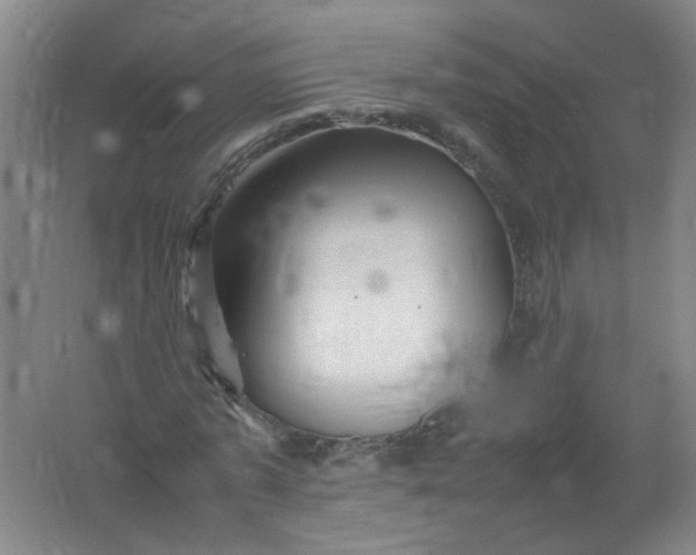 X0000062170773200512231625