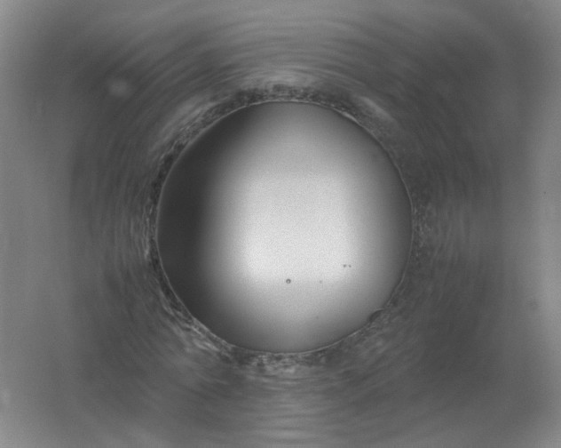 X0000062170774200512231625