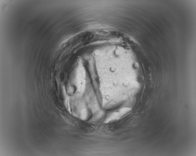 X0000062170775200512231625