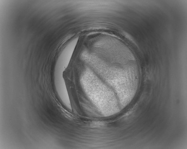 X0000062170777200512231625