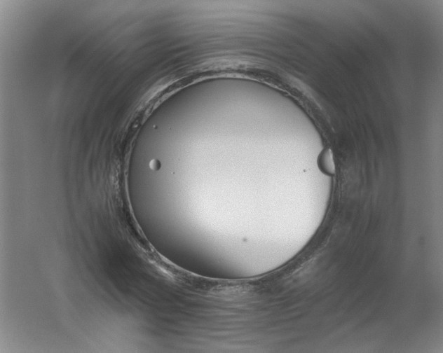 X0000062170778200512231625