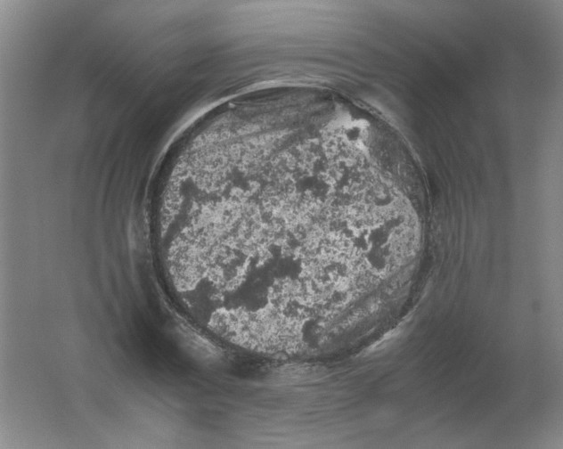 X0000062170779200512231625