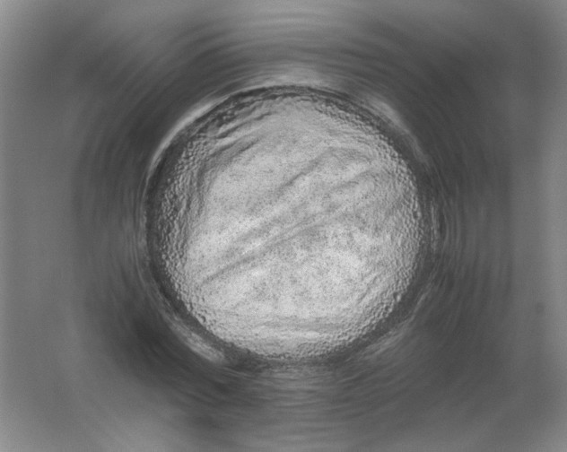 X0000062170780200512231625