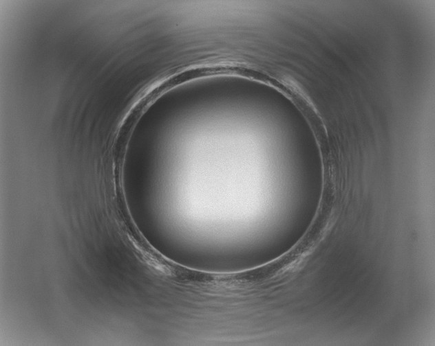 X0000062170781200512231625