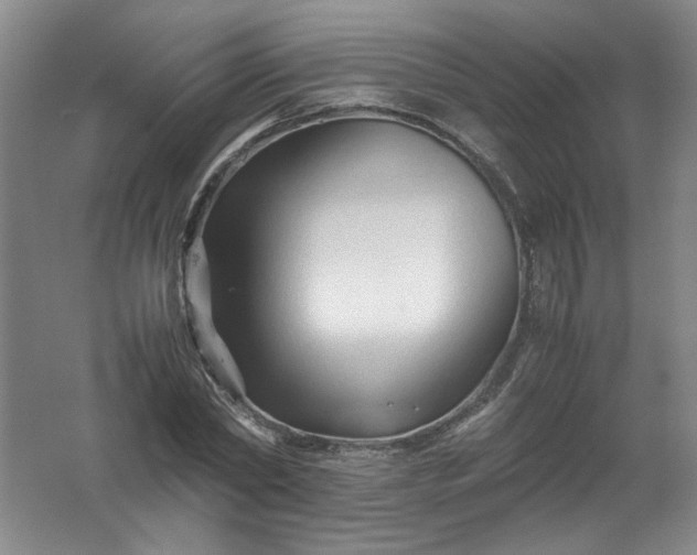 X0000062170782200512231625