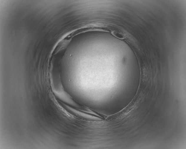 X0000062170784200512231625