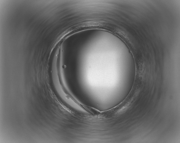 X0000062170786200512231625