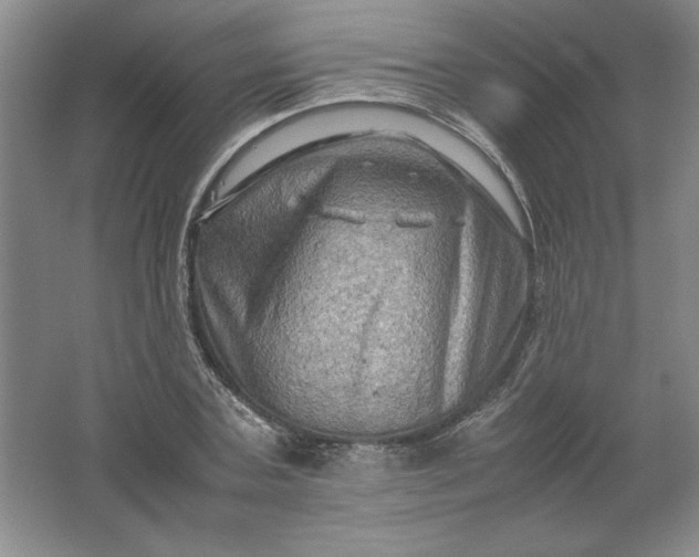 X0000062170787200512231625