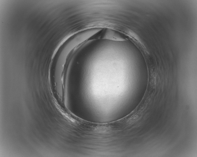 X0000062170788200512231625