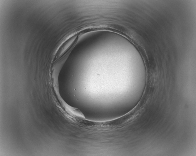 X0000062170789200512231625