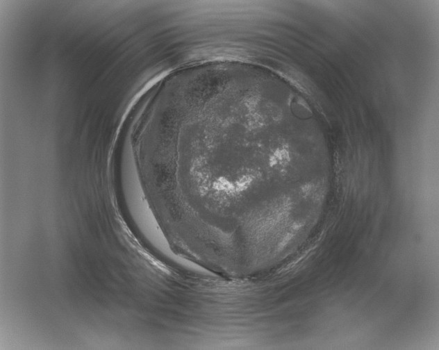 X0000062170790200512231625