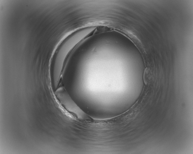 X0000062170792200512231625