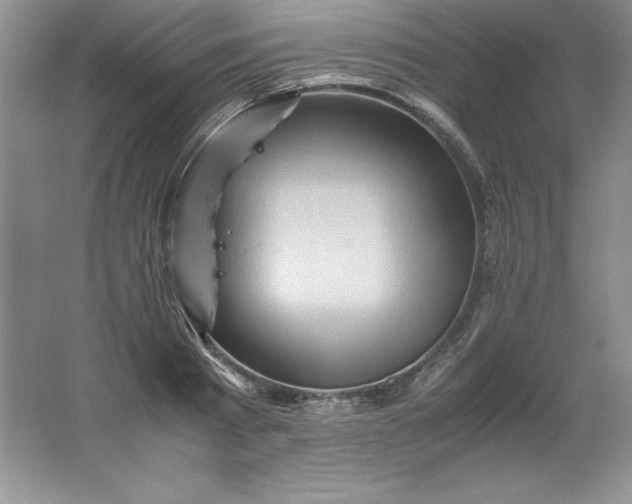 X0000062170793200512231625