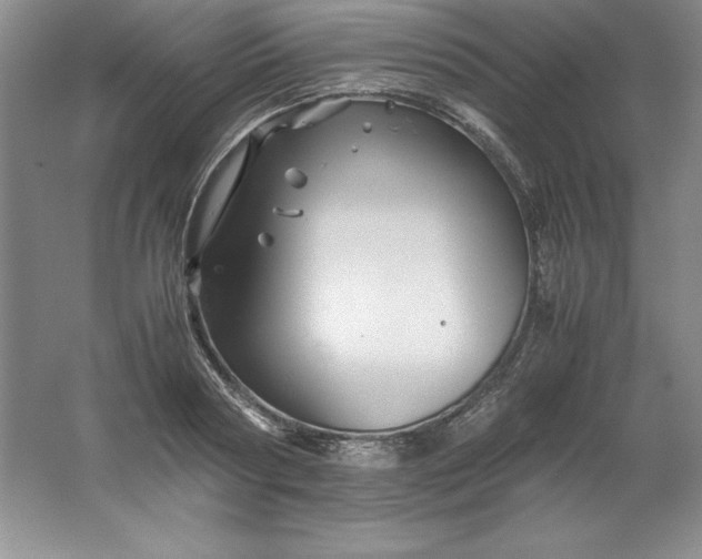 X0000062170794200512231625