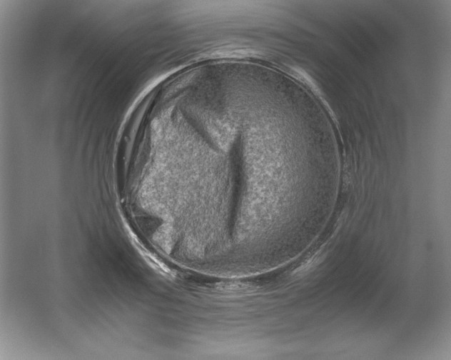 X0000062170795200512231625