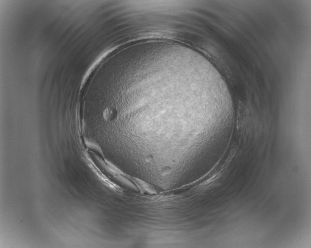 X0000062170796200512231625