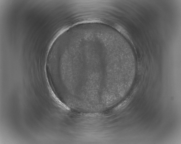 X0000062170797200512231625