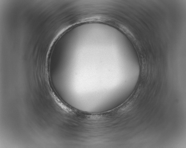 X0000062170800200512231625