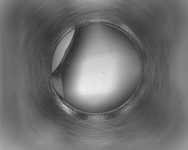 X0000062170801200512231625