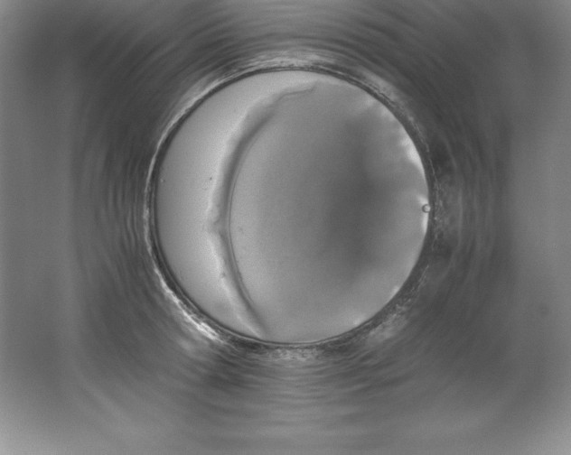 X0000062170802200512231625