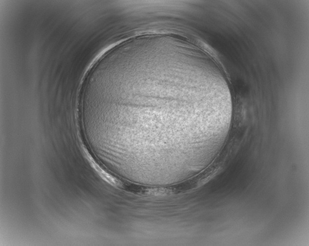 X0000062170803200512231625