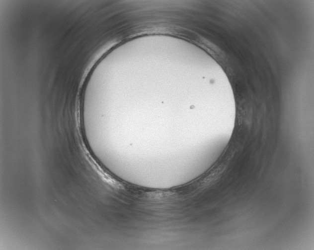 X0000062170804200512231625