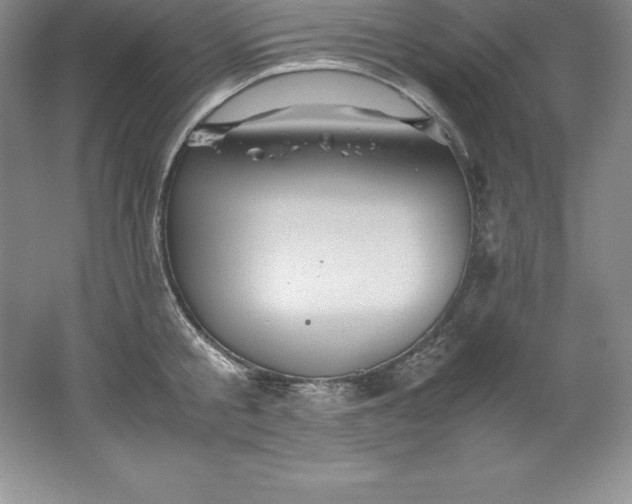 X0000062170805200512231625