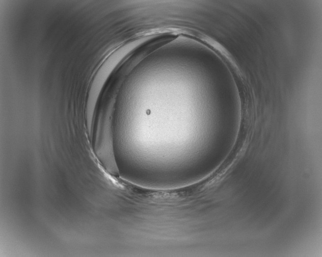 X0000062170809200512231624