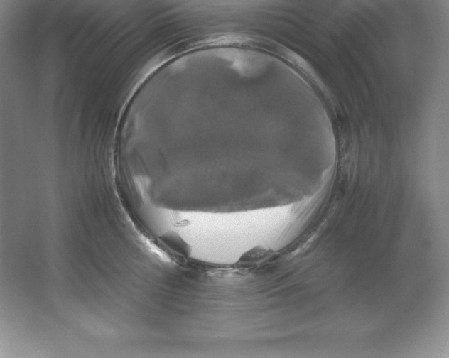 X0000062170810200512231624