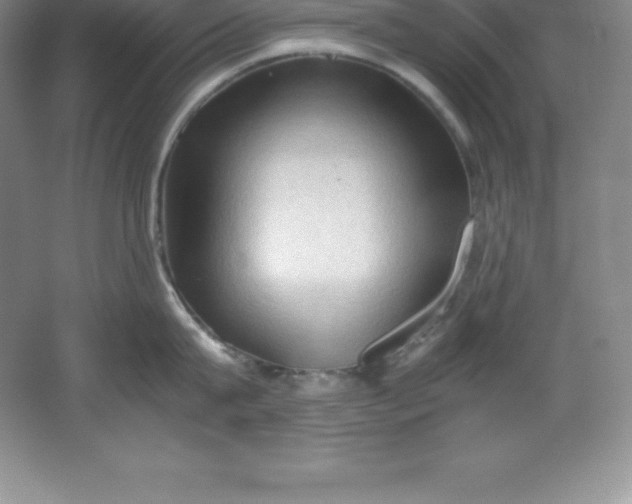 X0000062170815200512231624