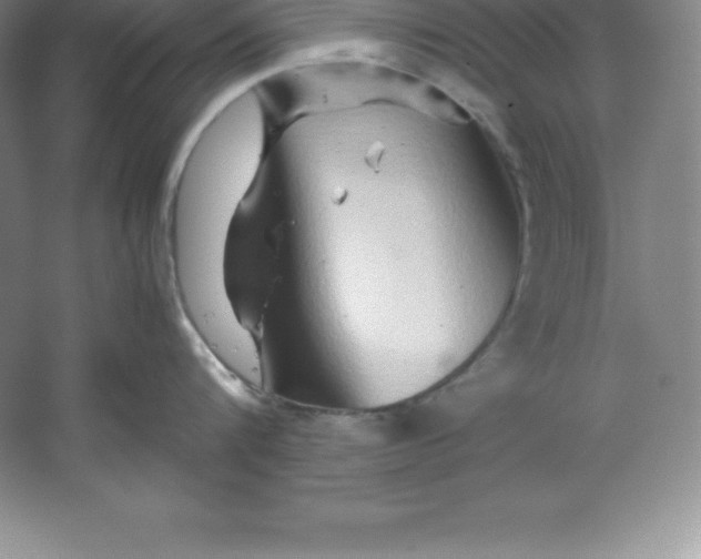 X0000062170816200512231624