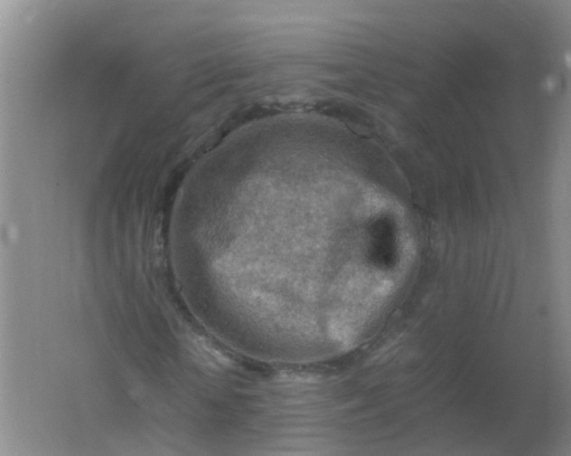 X0000062170818200512231624